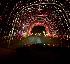Quick Response Restoration Christmas lights display